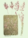 image test5
