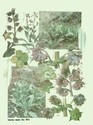 image test5