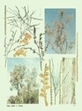 image test4