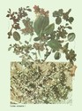 image test1