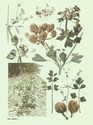 image test5
