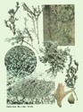 image test5