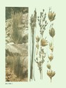 image test5