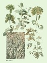 image test1