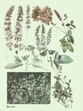 image test5