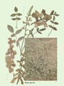 image test4