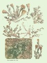 image test5