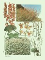 image test3