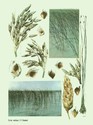 image test2