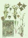 image test2