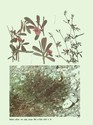 image test5