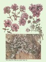 image test5