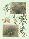 image test1