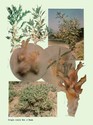 image test2