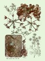 image test4