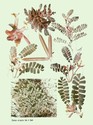 image test3