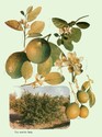 image test1