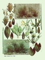 image test5