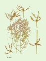 image test3