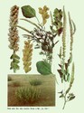 image test4