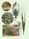 image test5
