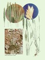 image test4