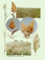 image test5