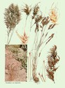 image test4