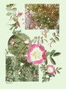 image test5