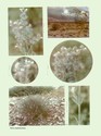 image test2
