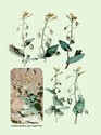 image test1