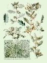 image test3