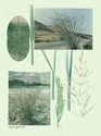 image test4