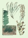 image test3