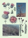 image test4