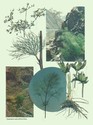 image test5
