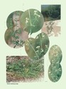 image test3