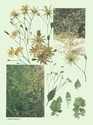 image test4