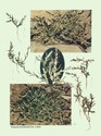 image test5
