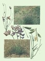 image test4