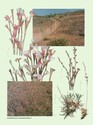 image test4
