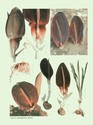 image test2