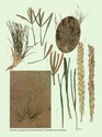 image test4