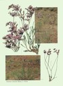 image test1