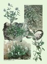 image test5