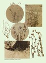 image test1