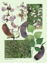 image test5