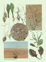 image test5