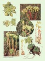 image test4