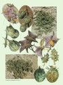 image test3